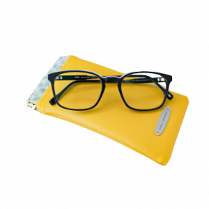 l'étui à lunettes